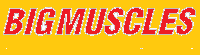 Big Muscles Nutrition Coupons